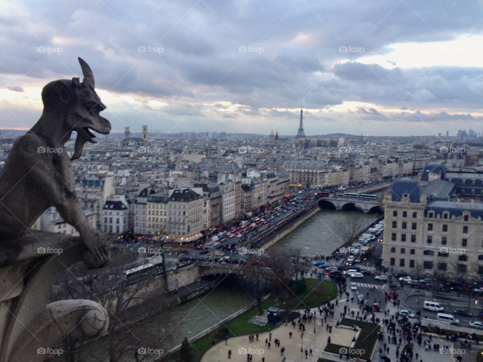 A gargoyle at the top of the Notre Dame overlooking Paris. #Paris #Gargoyle #DotreDame #Metropolitan
