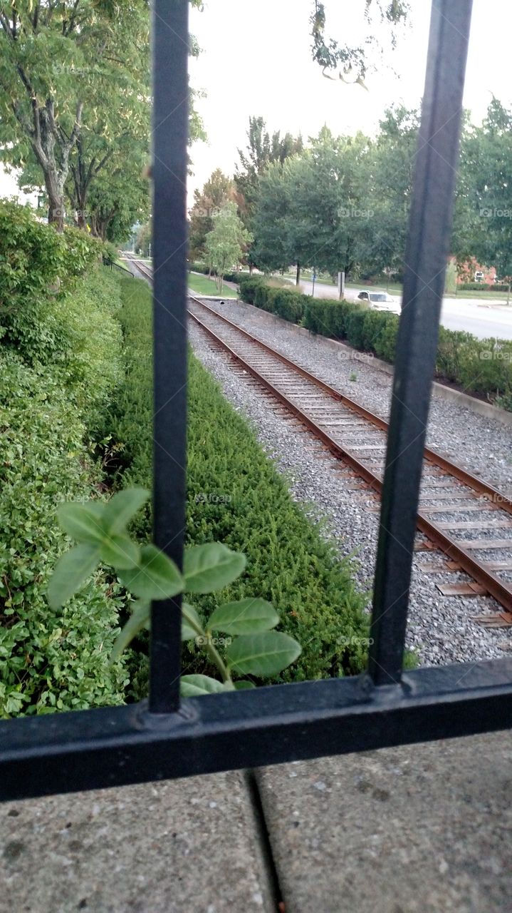 down the railroad