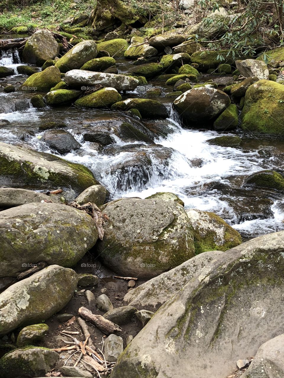 A stream with rocks, running water through the Smokey Mountains. 