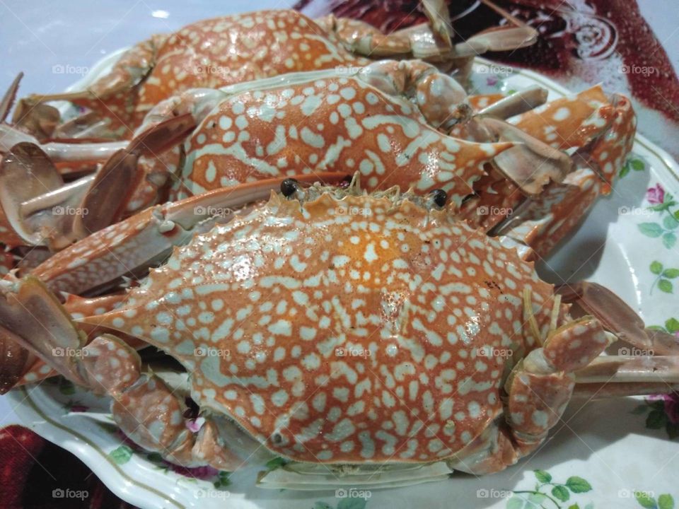 Steamed Crabs.