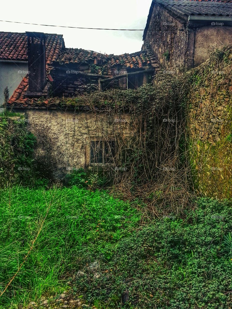 Old Abandoned House