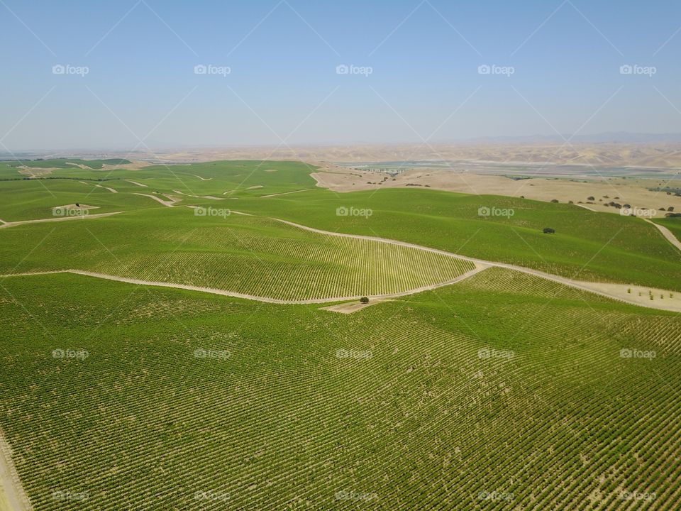 Landscape, Grass, No Person, Field, Agriculture