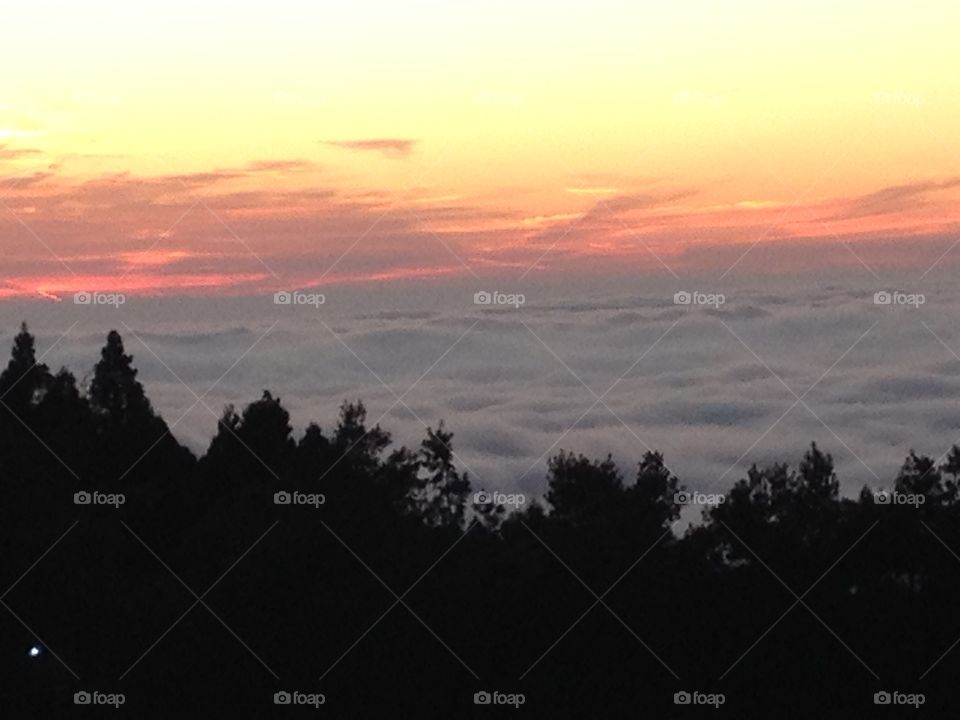 A sea of clouds with a sunset background. 