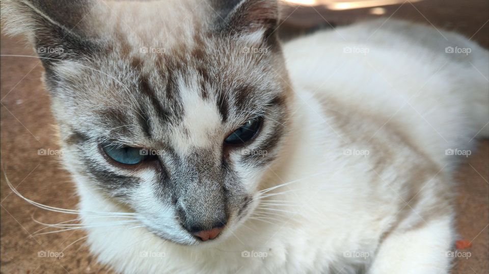 A carinha de preocupado.