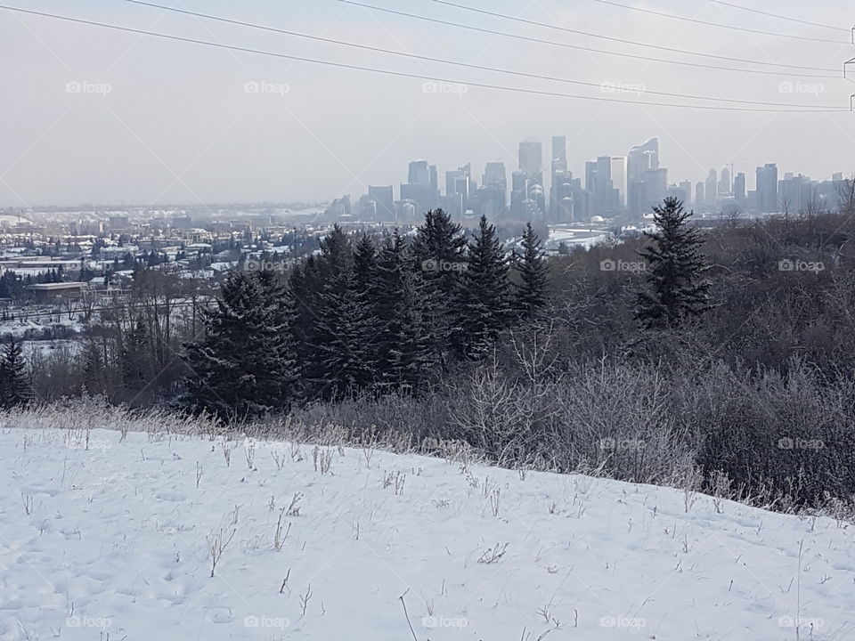 Downtown Calgary cityscape in the winter