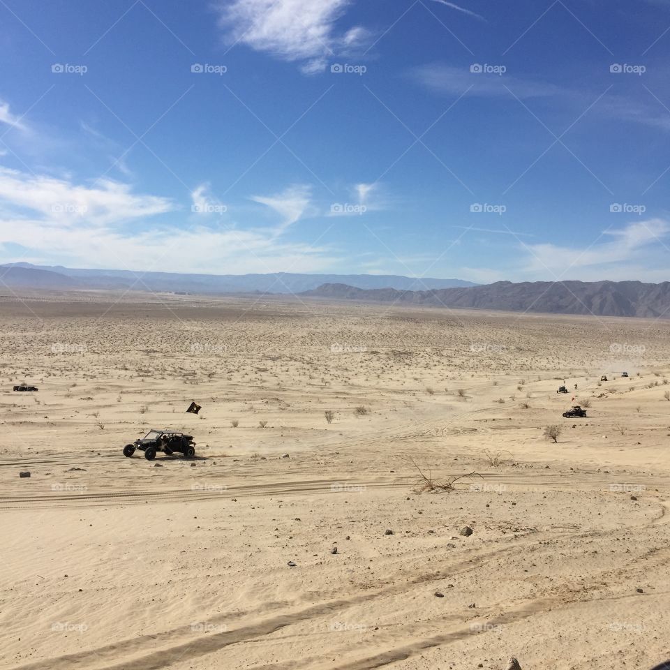 California Desert 🌹
