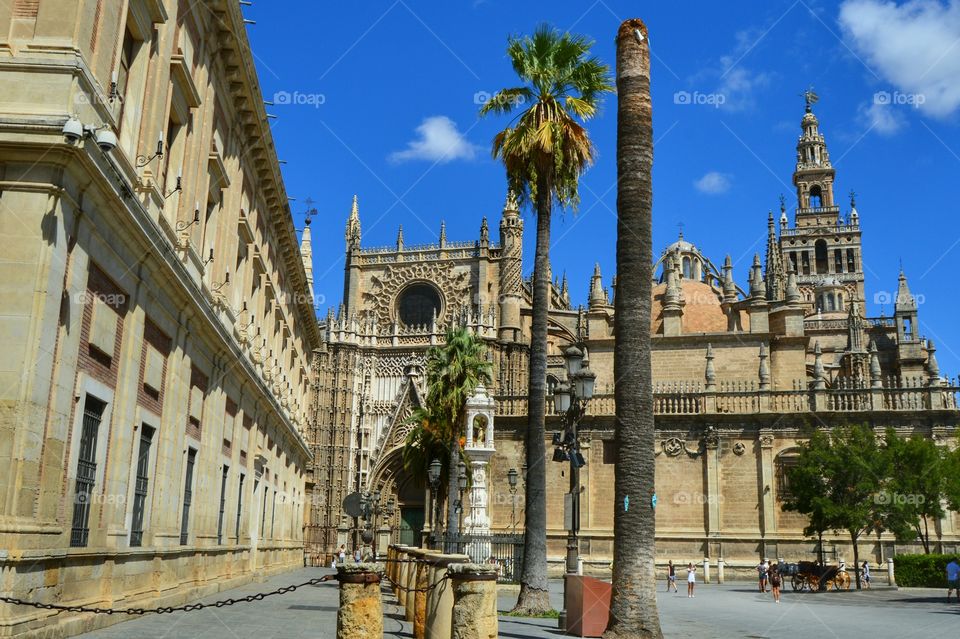 Cathedral and Giralda tower. View of the cathedral a d Giralda tower, Sevilla, Spain