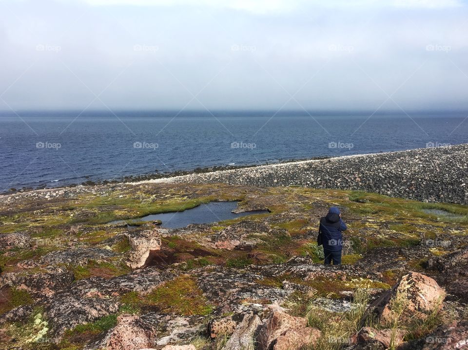 Arctic Ocean shore 