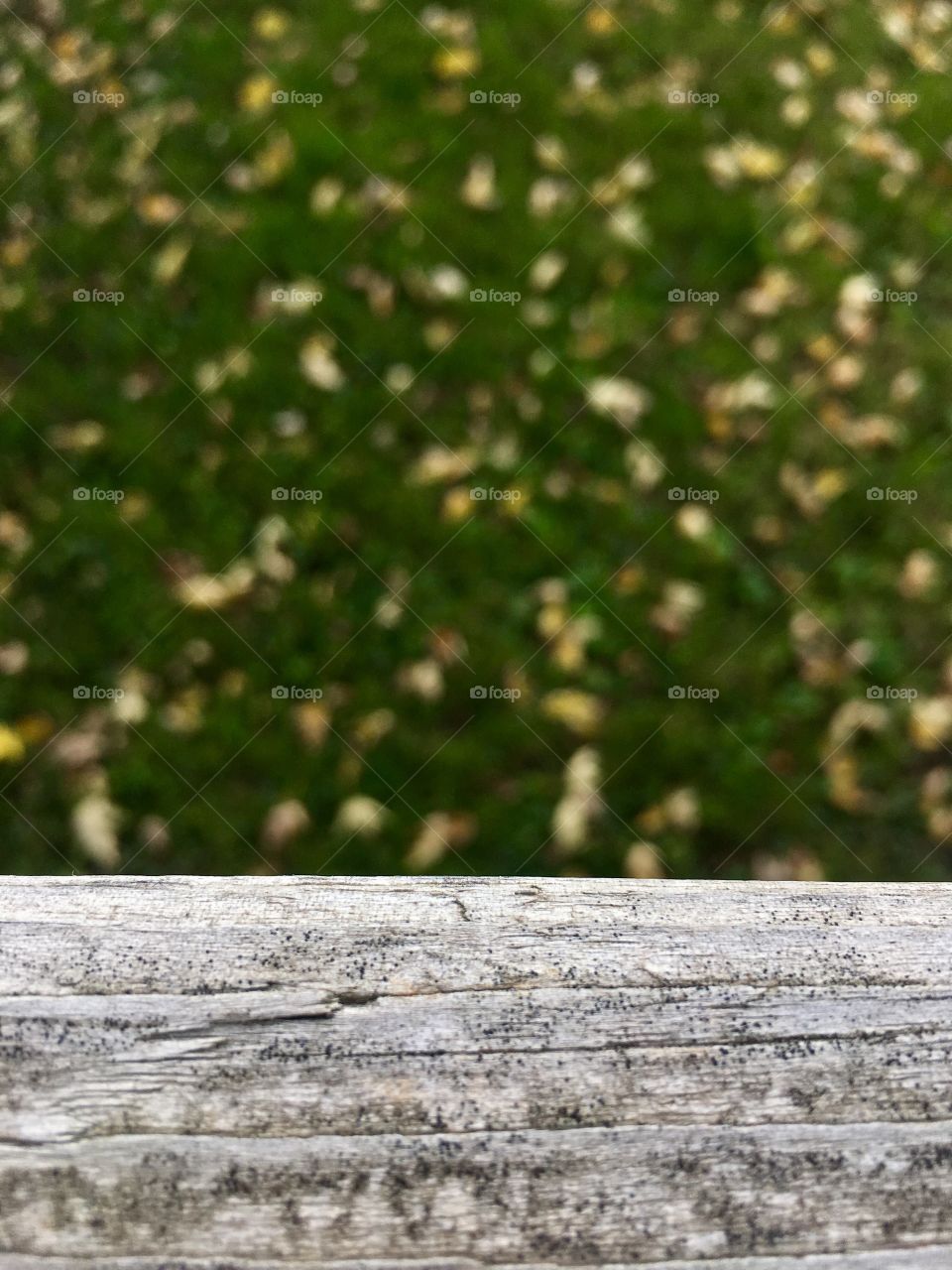 Closer white wood deck 