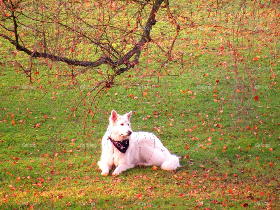 in the park