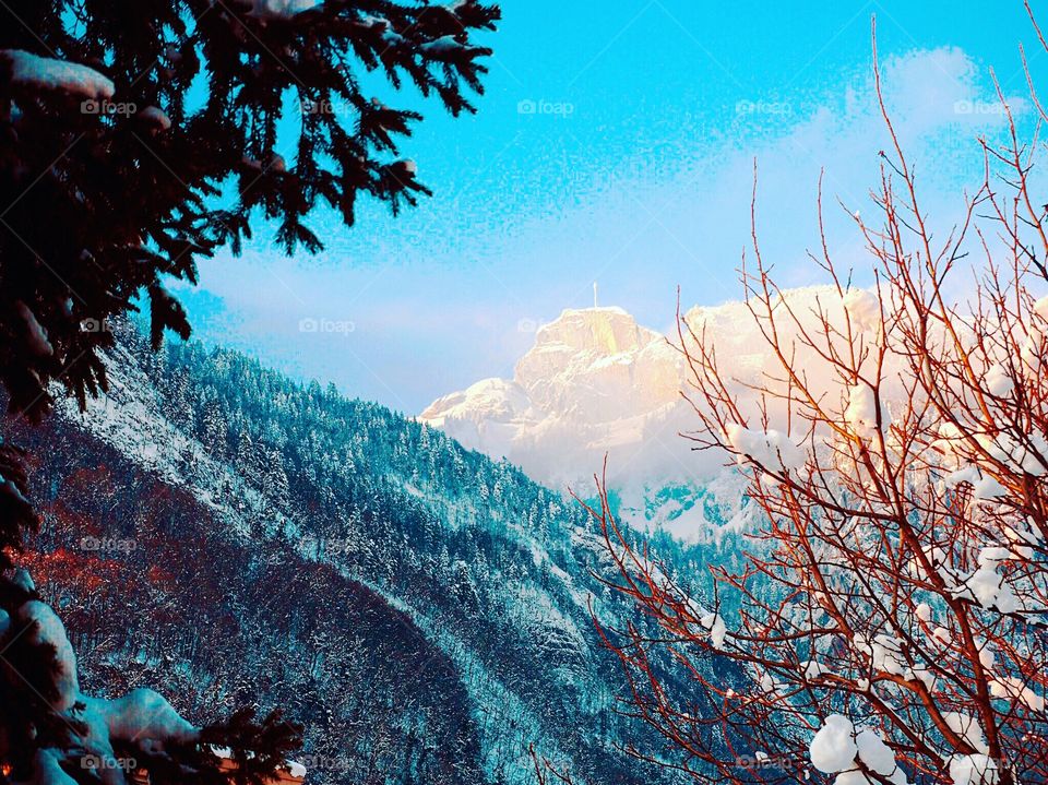 Alps
Mountain
Winter
Sun
Tree