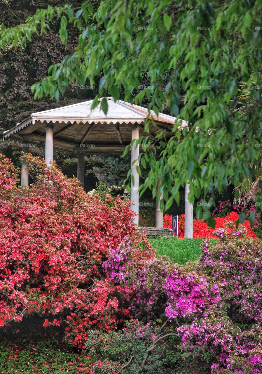 Gazebo among the trees 