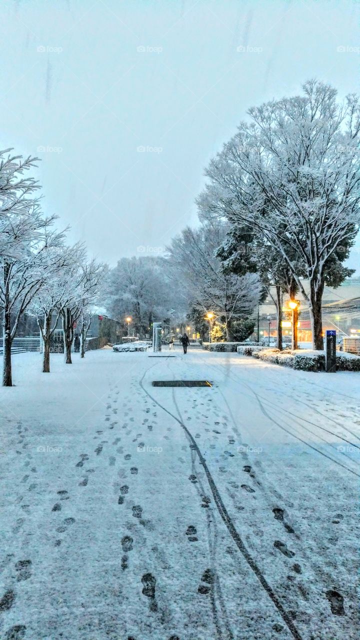 Snowy street