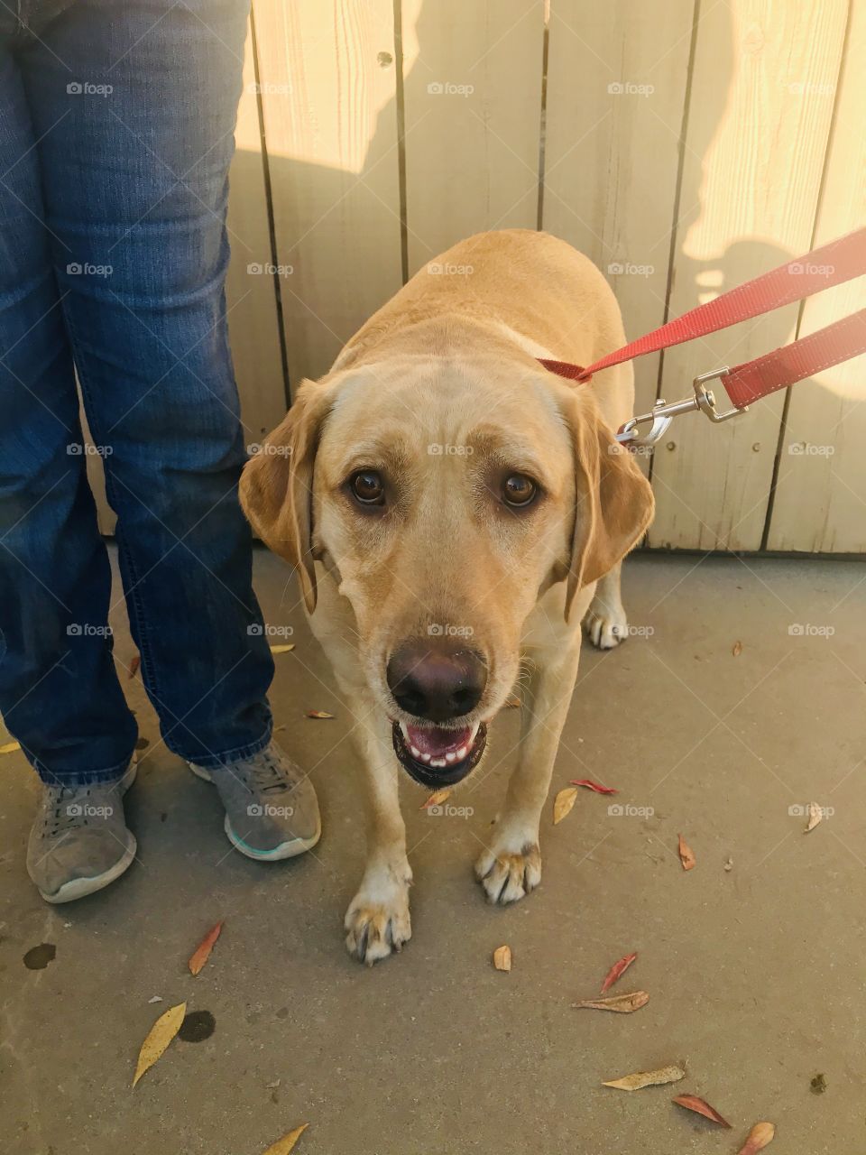 Where am I? And who are these people? I want to go home but I don't know-how, I'm lost! 