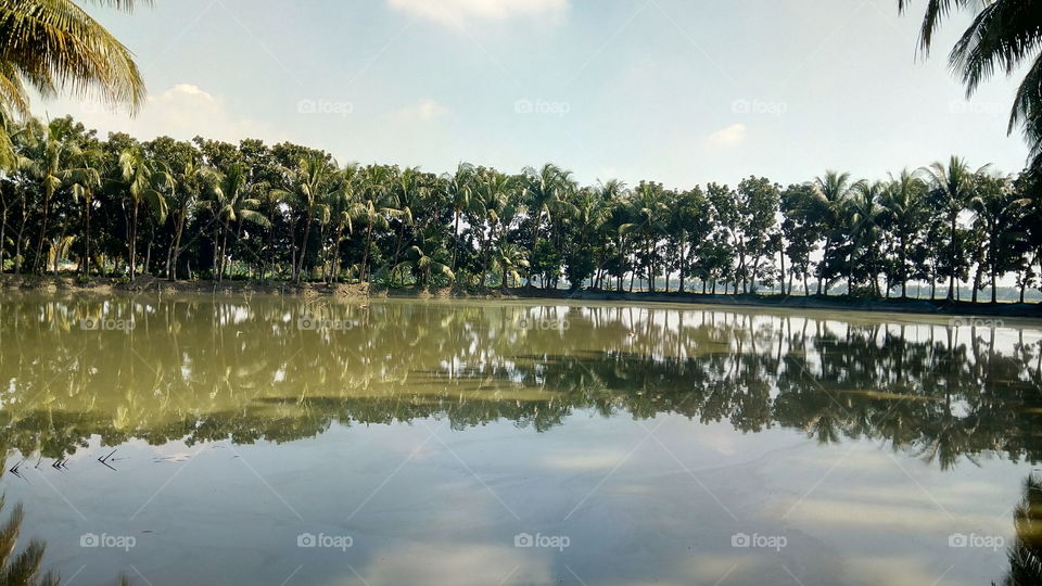 বাংলাদশের প্রাকৃতিক সৌন্দয্য।