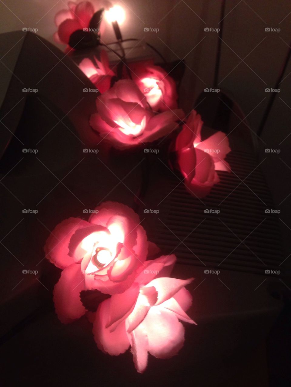Roses
