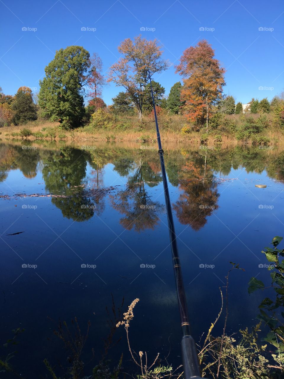 Fall pond fishing