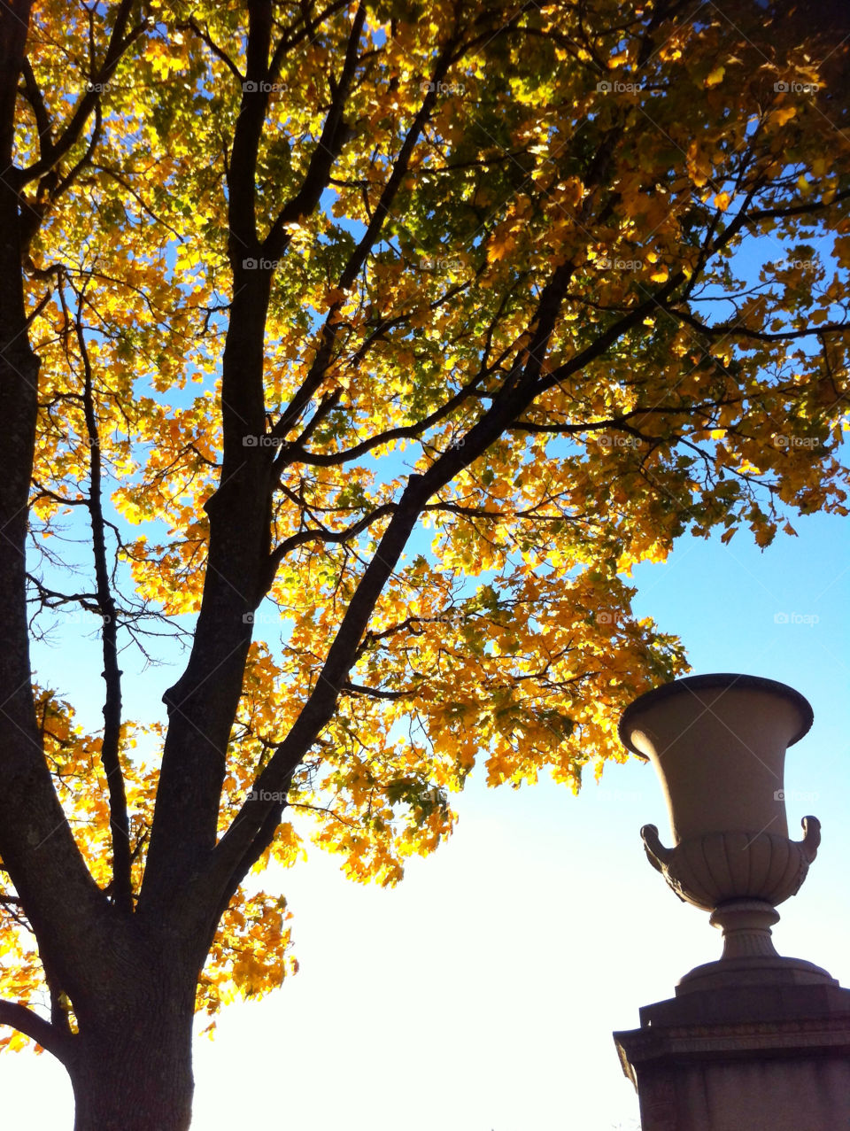 yellow tree statue leaves by pixelakias