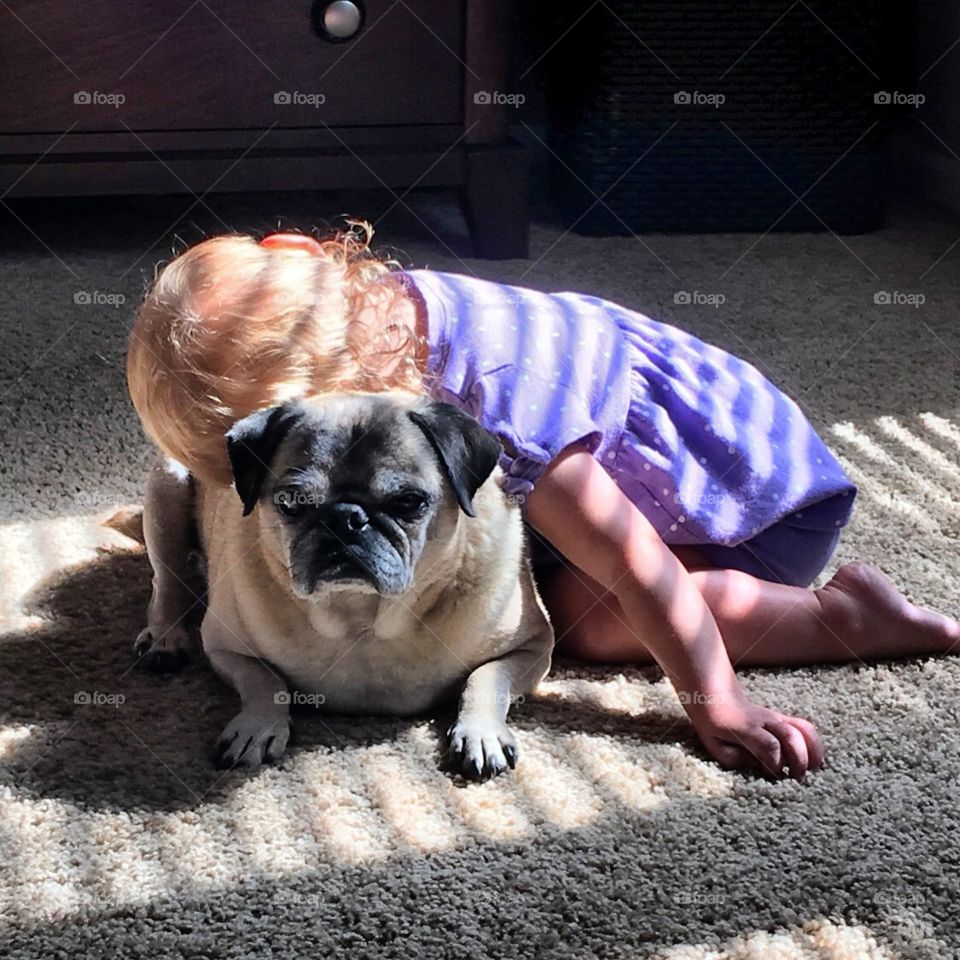 The best cure for a sick baby is a good ole' pug hug. 