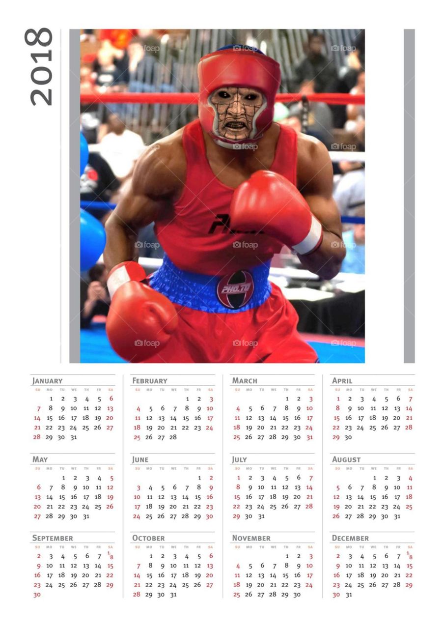 Deamon boxer Kalender 2018