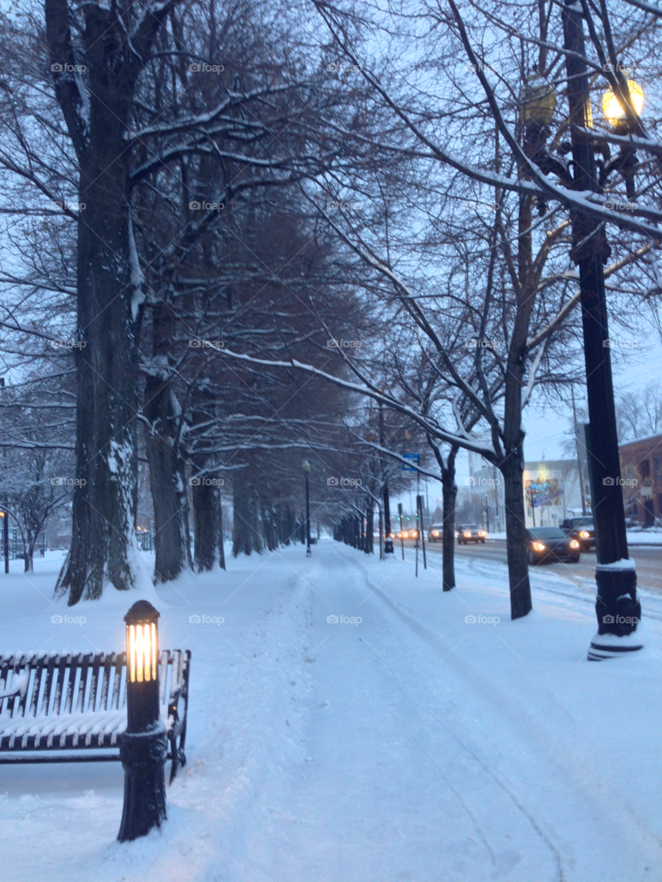 winter morning trees cold by DanXSmith