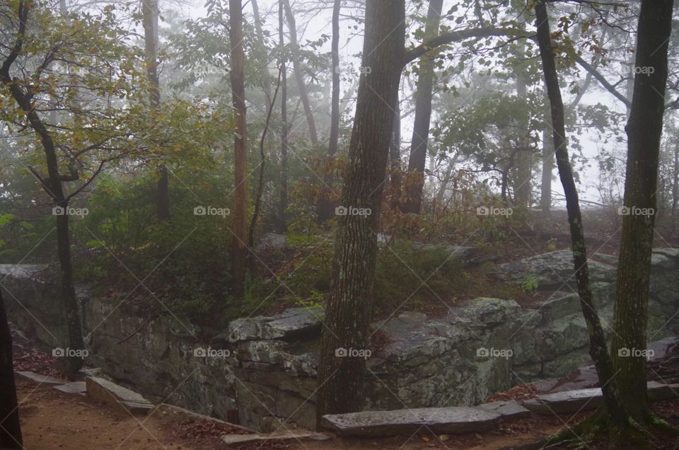 Misty Mountain Scenery