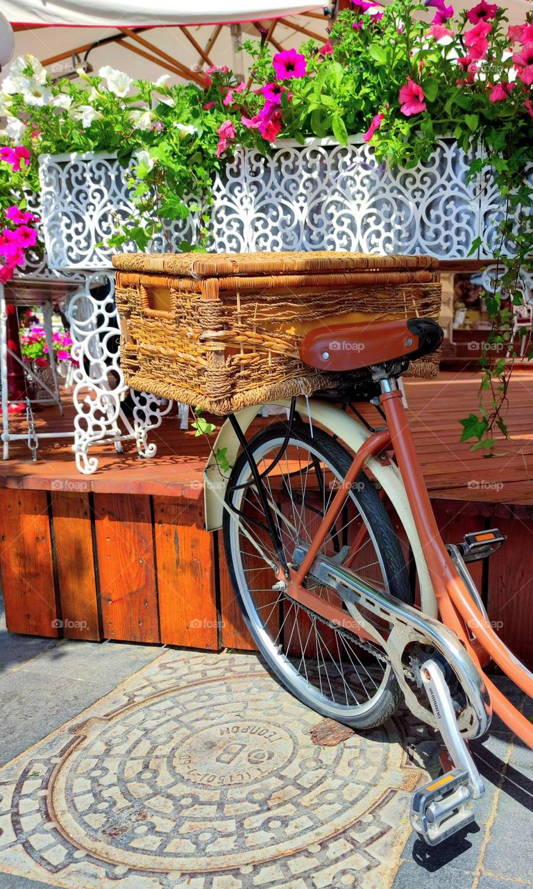 Bicycles.  The back of a bicycle wheel.  There is a straw box on the bike frame.  Blooming pink and white petunias in the background