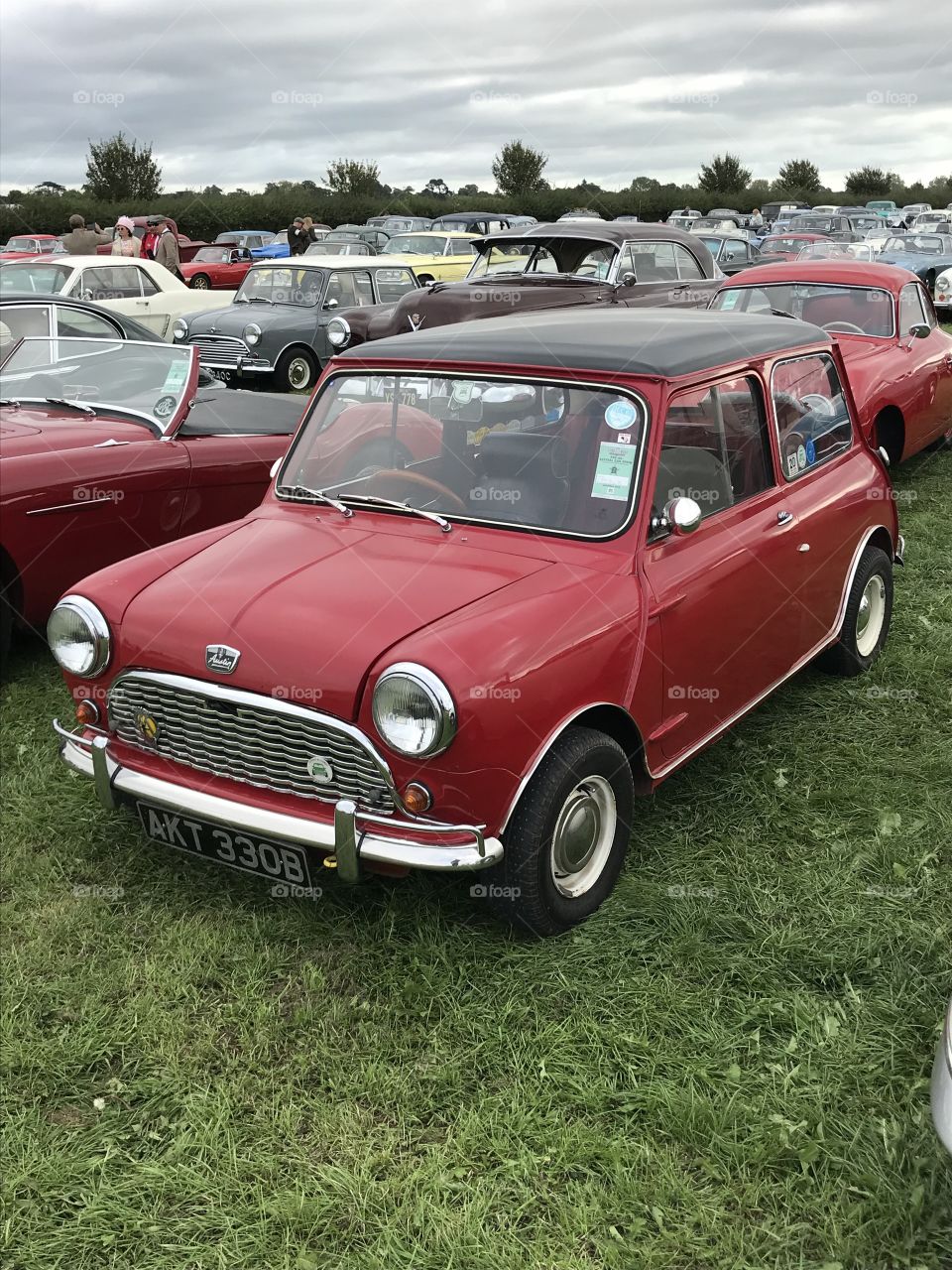 Austin Mini