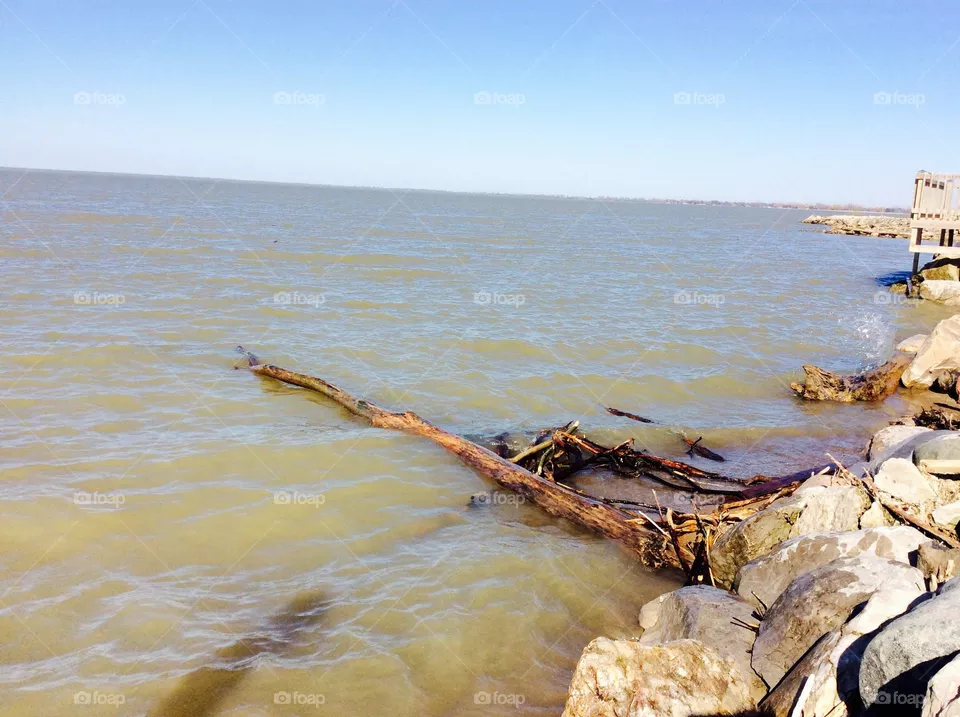 Drift wood