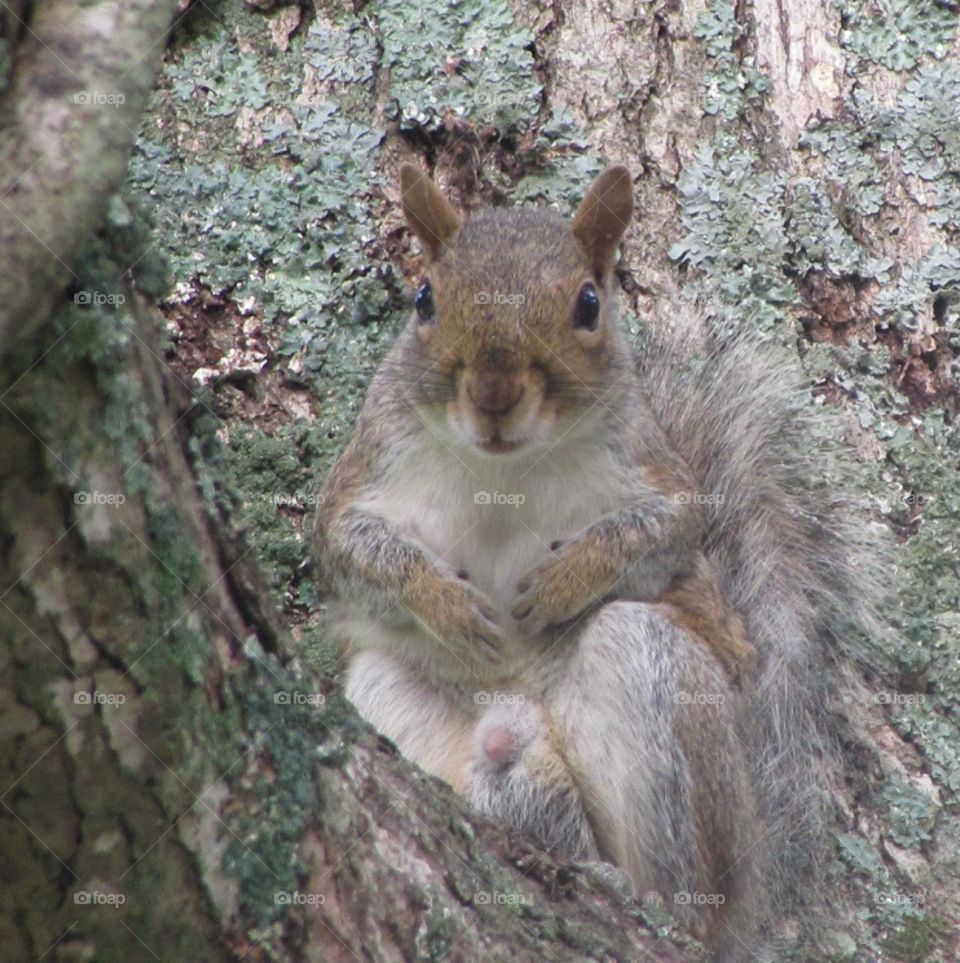 happiness. He was stealing bird food. so I try to catch him with the food instead I caught something else.