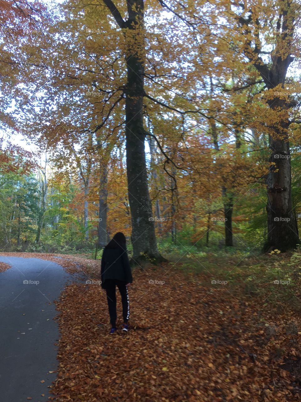 Girl in the forest