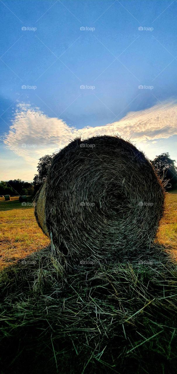 #hay #fields #roll #objekt