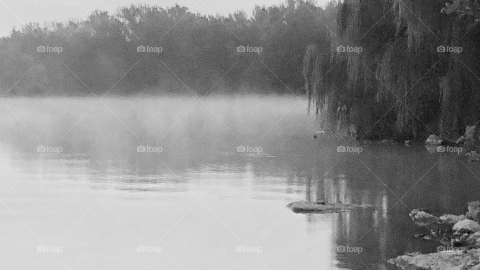 Misty Morning at Holiday Lake