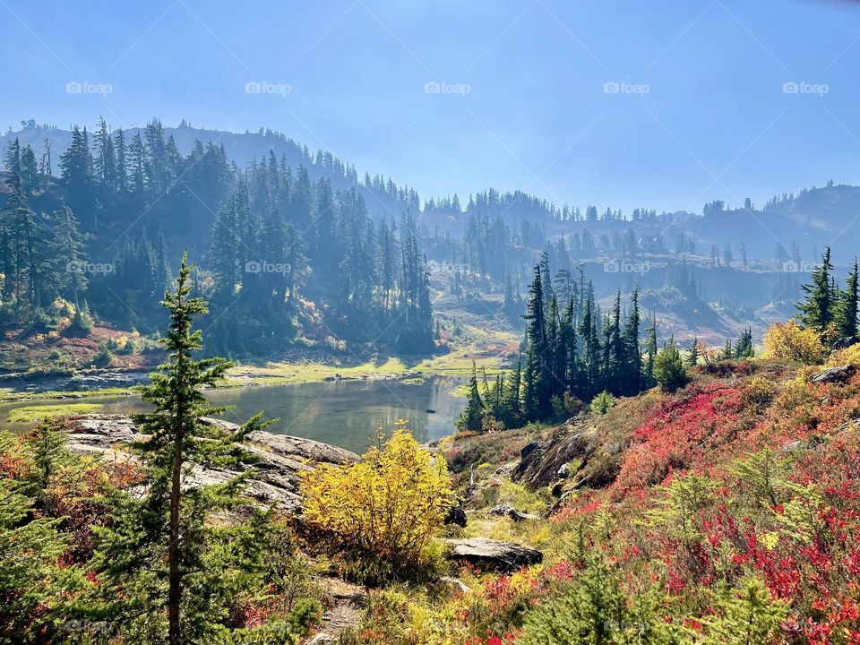 Autumn river landscape 