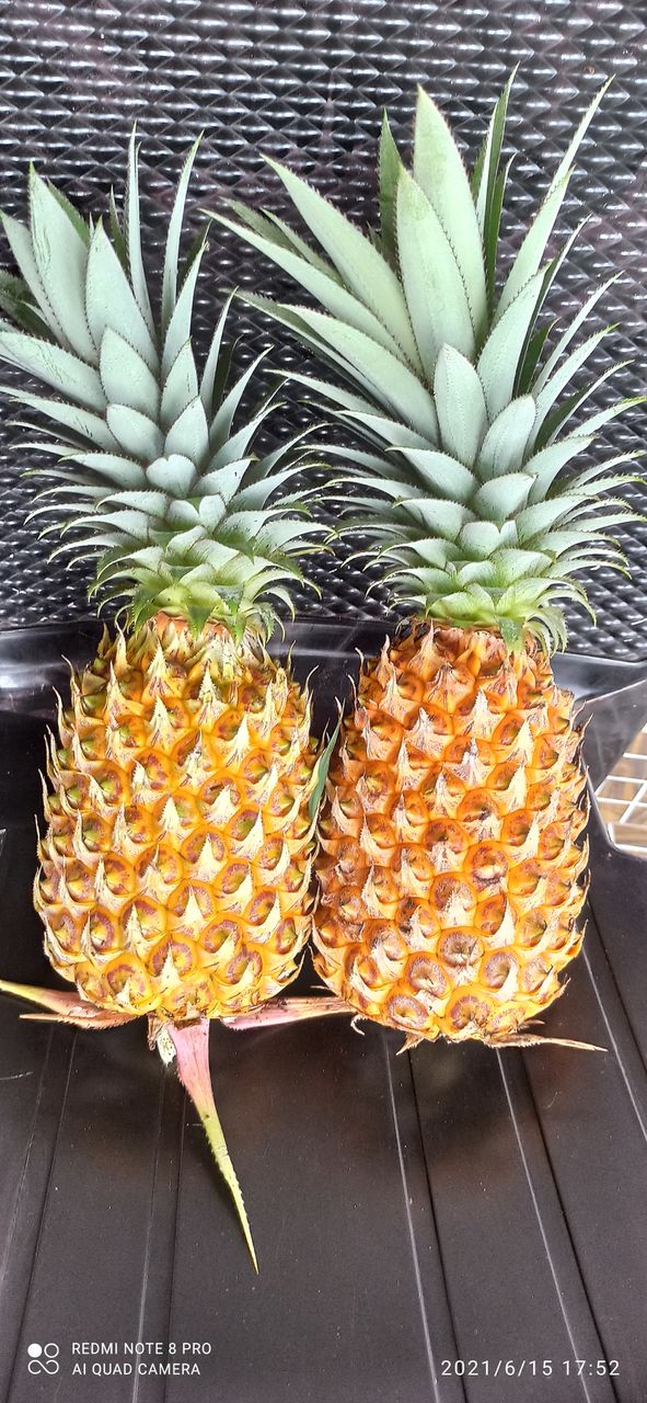 pineapple