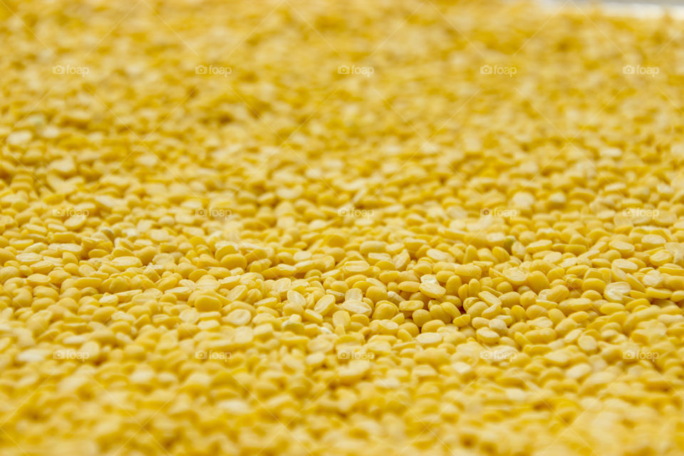 Yellow pulses of India