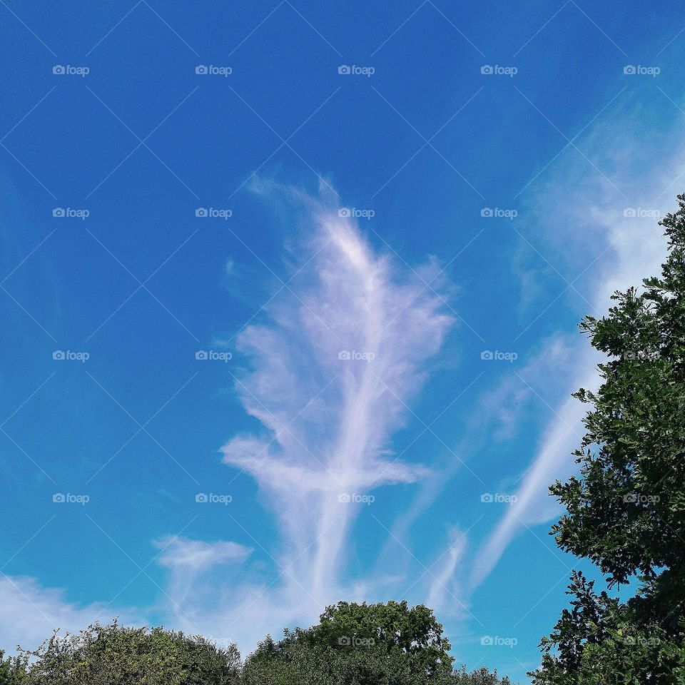 Blue sky, white clouds.