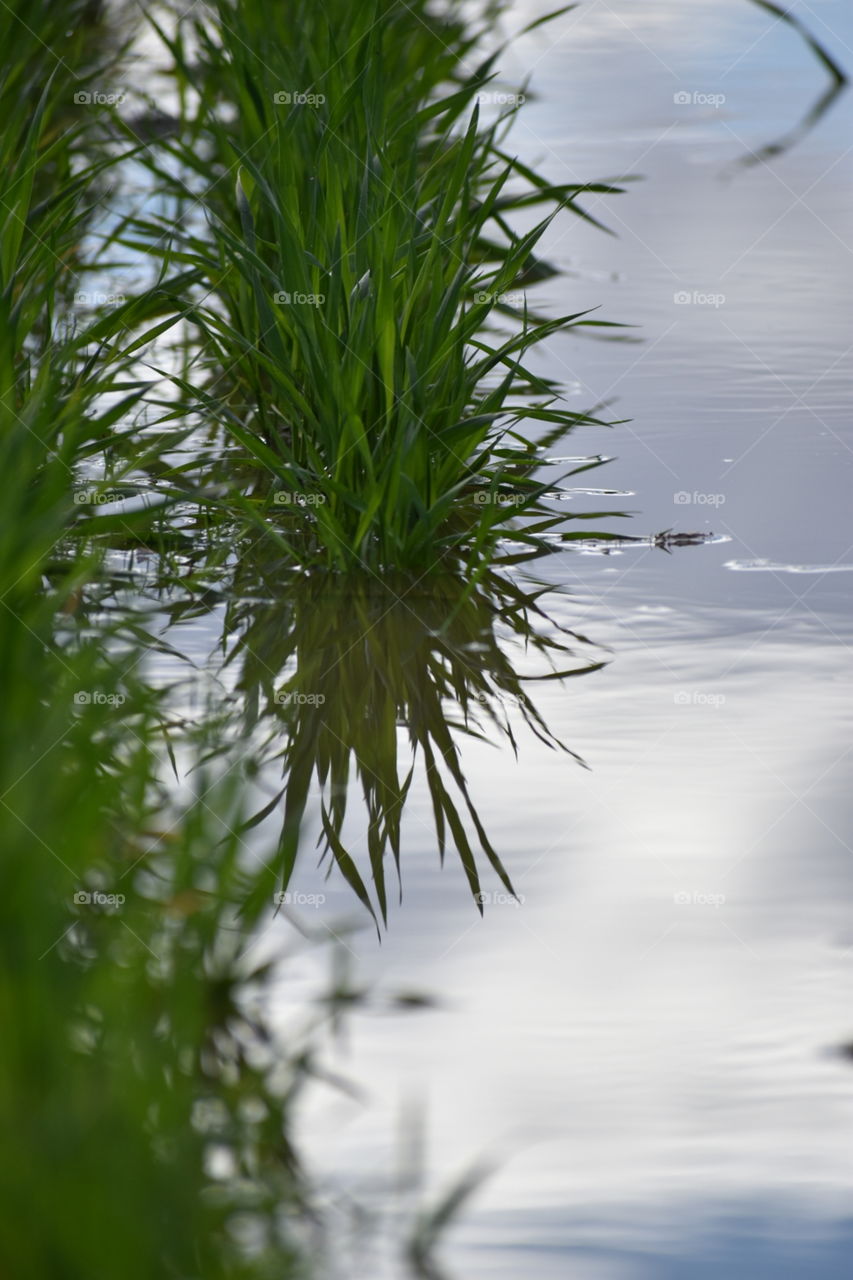 Reflection on a cloudy day