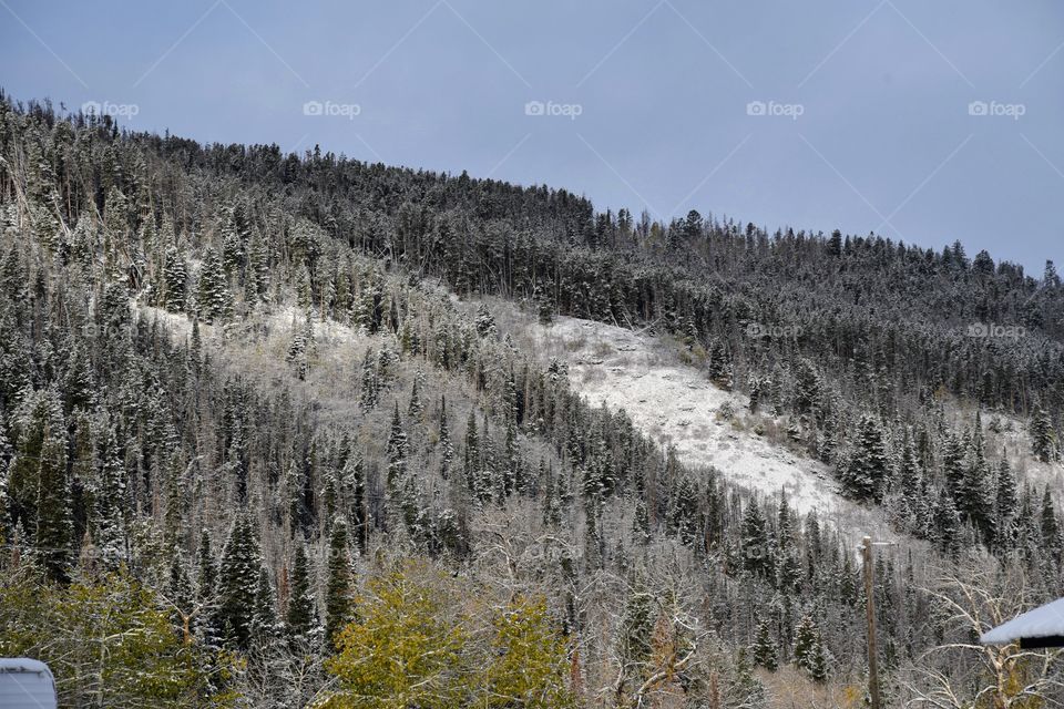 Snow on the Mountain