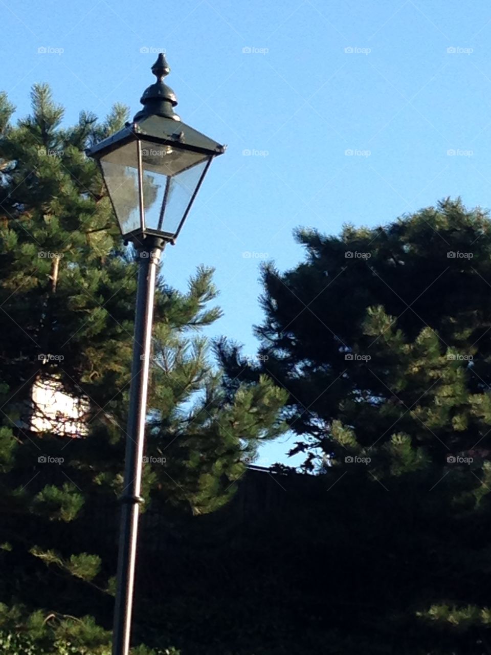 Old Street Lamp