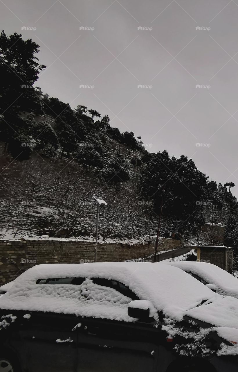 at standstill with snow