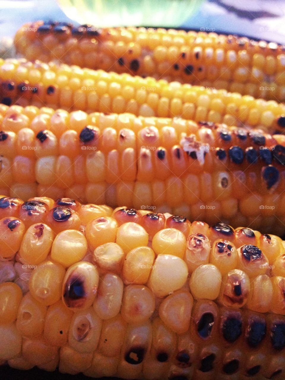 Inside Grilled corn. Inside a plate of grilled corn just baked 
