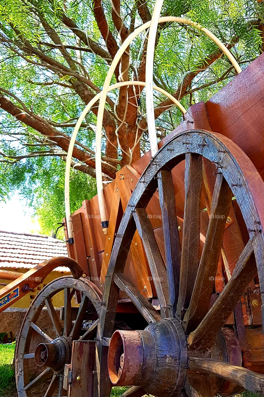 horse cart