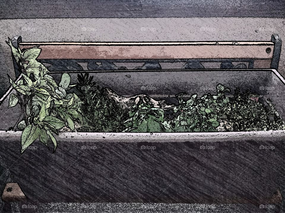 fresh herb garden bench (oil pastel)
