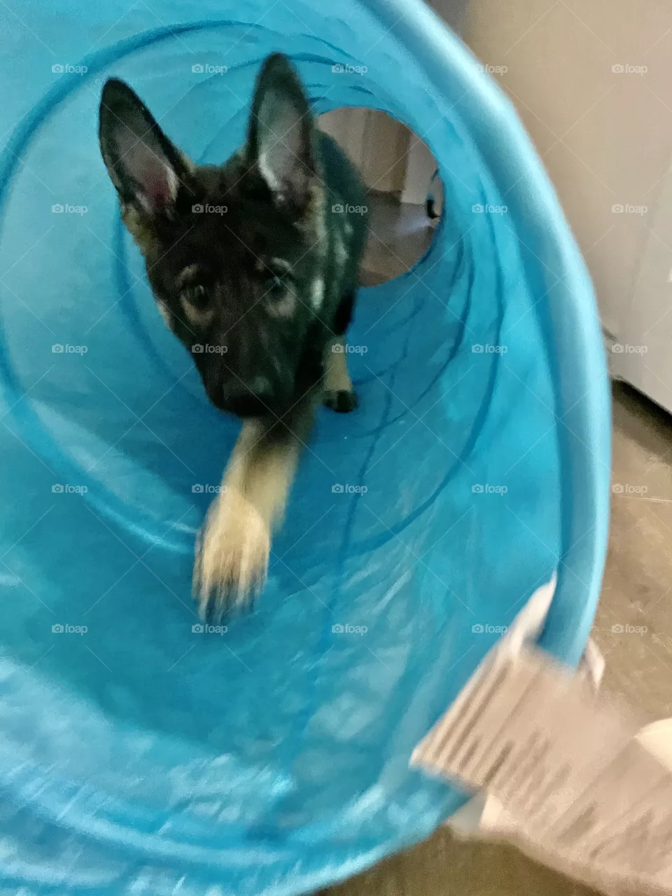 Running through the fun tunnel 