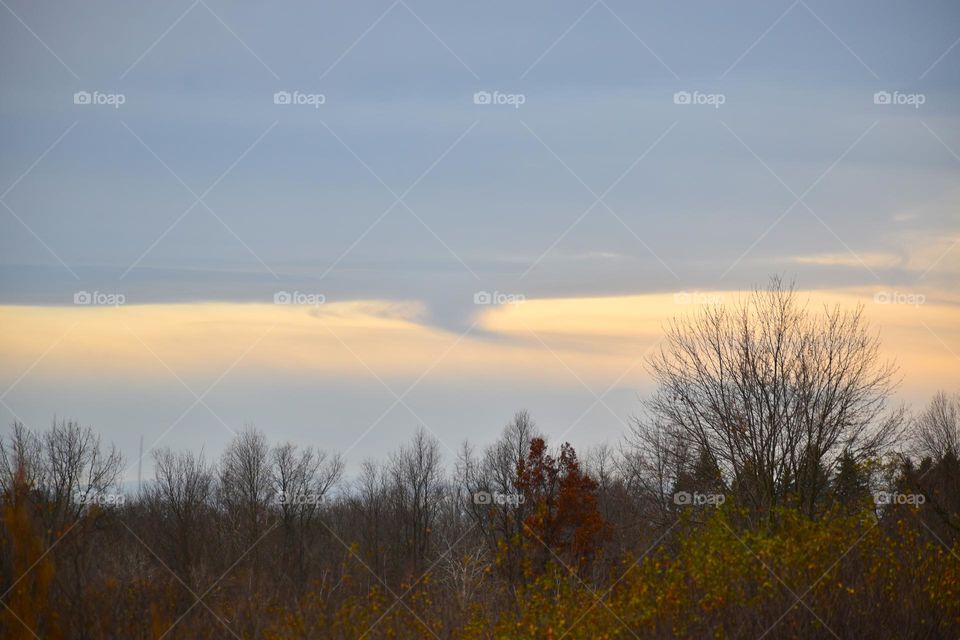 An interesting cloud over the fall forest