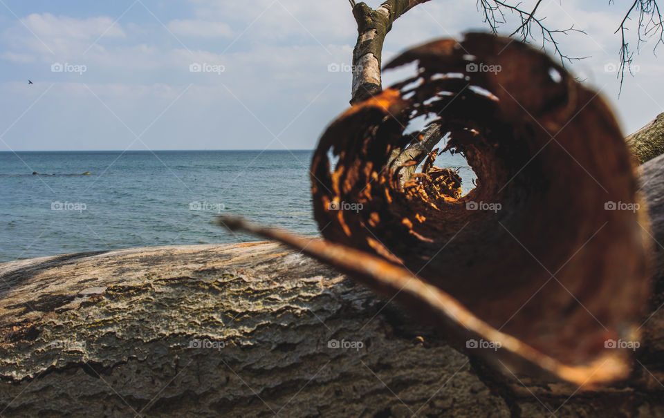 It's all about the focus