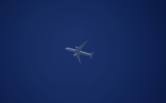 I know this is not a grand flying object photo BUT I just love the simplicity of it! It stands out for me! 