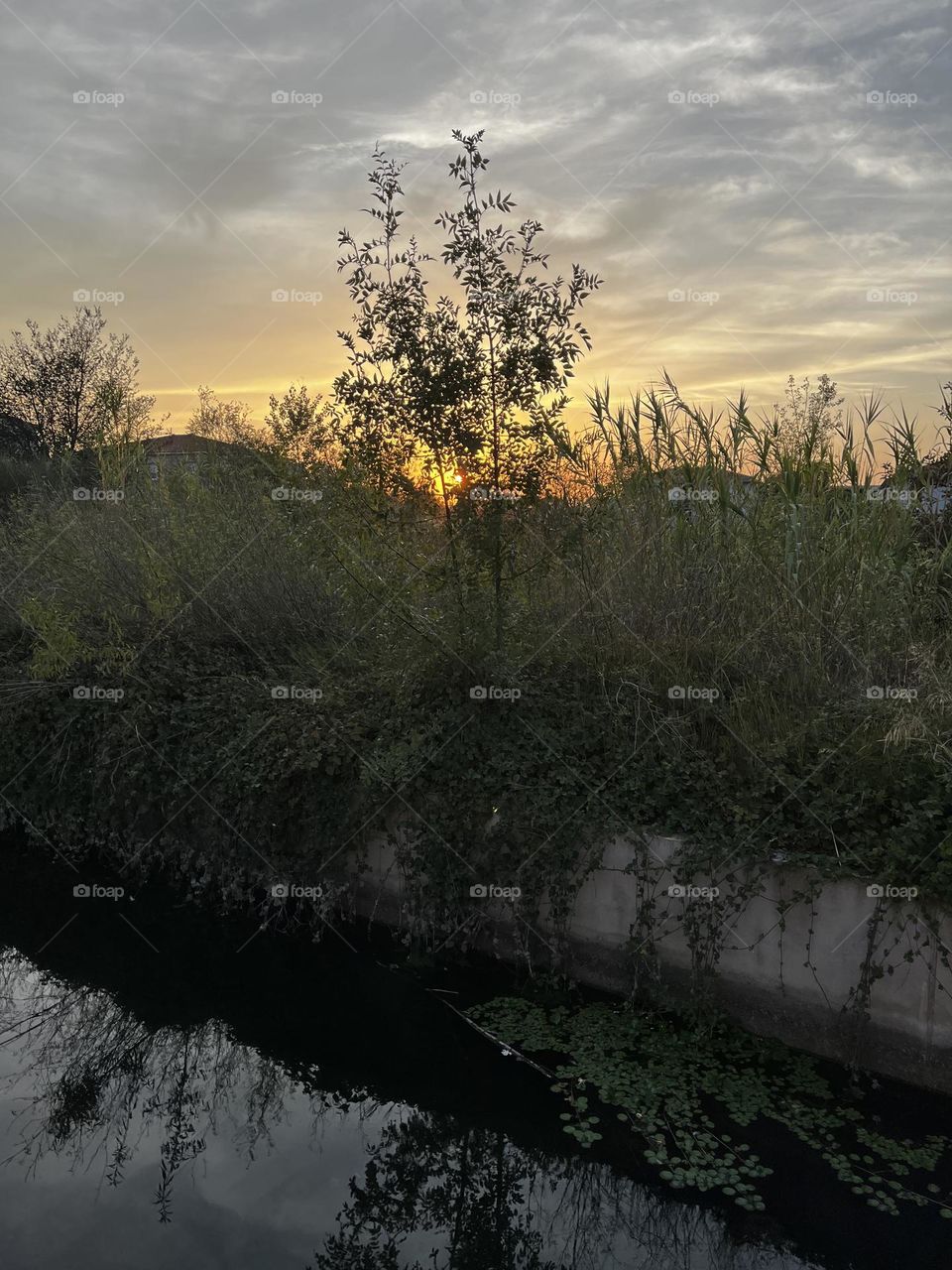 Contrat between sun, cloud and grass