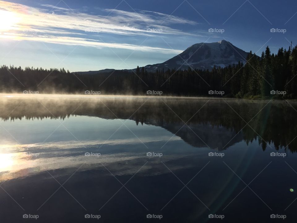 Trees reflecting on the lake